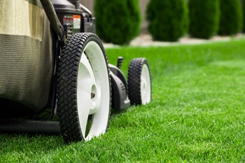 The 10 Best Lawn Care Services In Centreville Md From 33